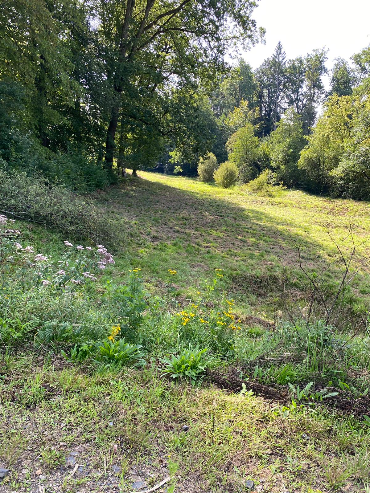 IMG 20230824 WA0112