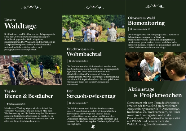 WaldpatenschaftFlyer pqg 2